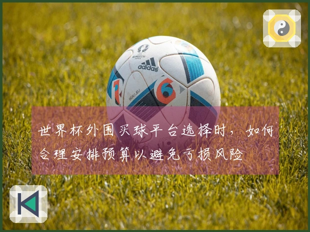 世界杯外围买球平台选择时，如何合理安排预算以避免亏损风险