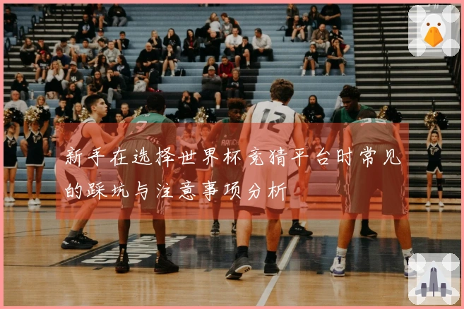 新手在选择世界杯竞猜平台时常见的踩坑与注意事项分析