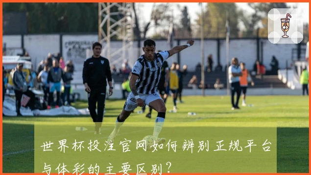 世界杯投注官网如何辨别正规平台与体彩的主要区别？