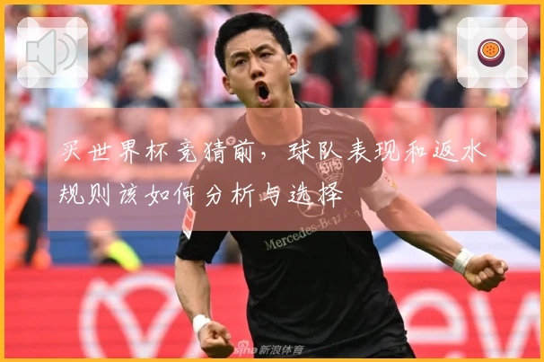 买世界杯竞猜前，球队表现和返水规则该如何分析与选择