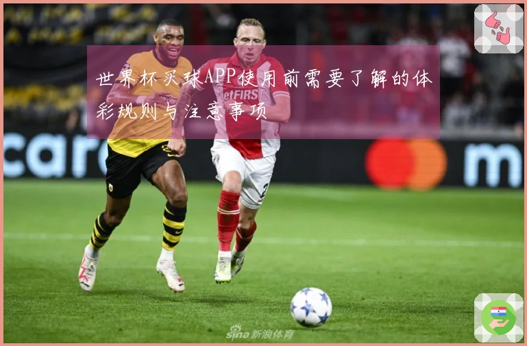 世界杯买球APP使用前需要了解的体彩规则与注意事项