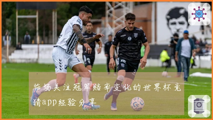 临场关注冠军赔率变化的世界杯竞猜app经验分享