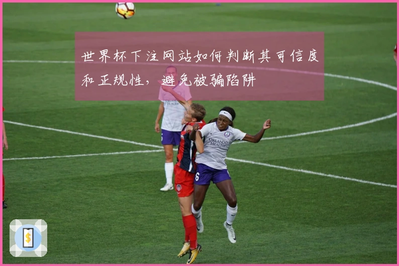 世界杯下注网站如何判断其可信度和正规性,避免被骗陷阱