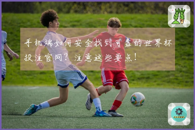 手机端如何安全找到可靠的世界杯投注官网？注意这些要点！