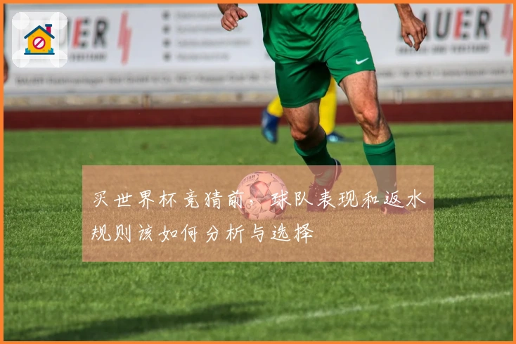 买世界杯竞猜前，球队表现和返水规则该如何分析与选择