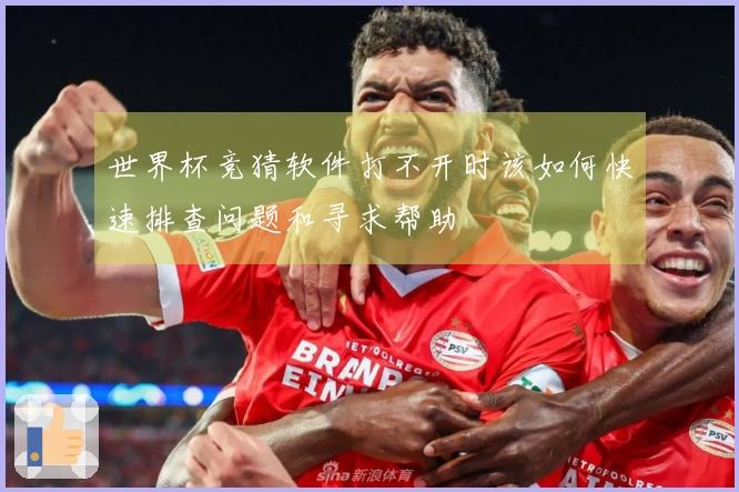 世界杯竞猜软件打不开时该如何快速排查问题和寻求帮助