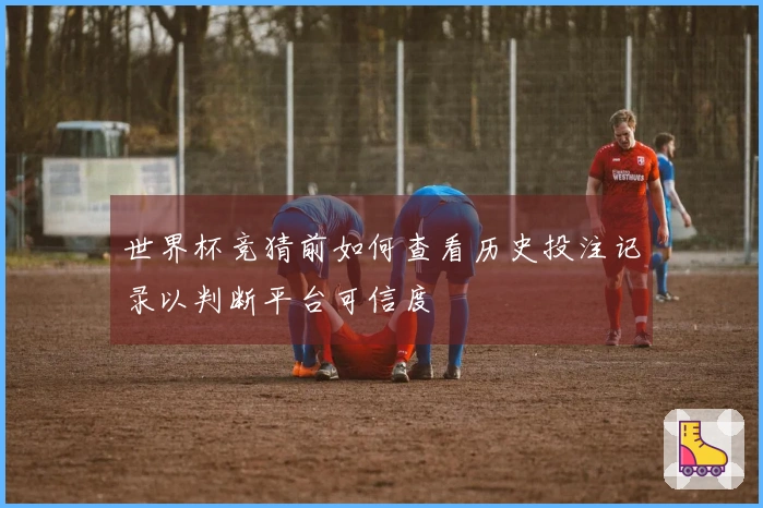 世界杯竞猜前如何查看历史投注记录以判断平台可信度