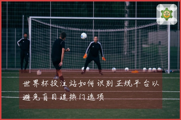 世界杯投注站如何识别正规平台以避免盲目追热门选项