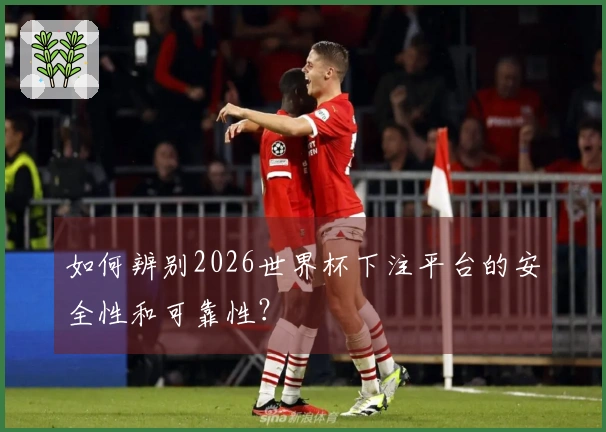 如何辨别2026世界杯下注平台的安全性和可靠性？