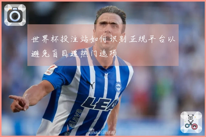 世界杯投注站如何识别正规平台以避免盲目追热门选项