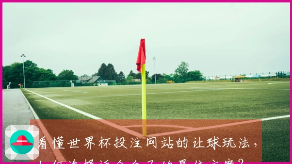 看懂世界杯投注网站的让球玩法,如何选择适合自己的最佳方案?