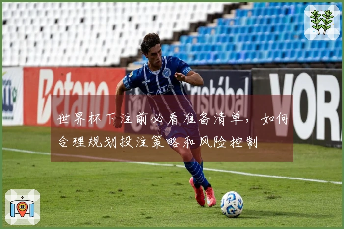 世界杯下注前必看准备清单,如何合理规划投注策略和风险控制