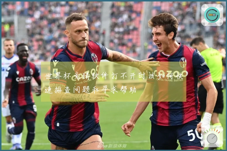 世界杯竞猜软件打不开时该如何快速排查问题和寻求帮助