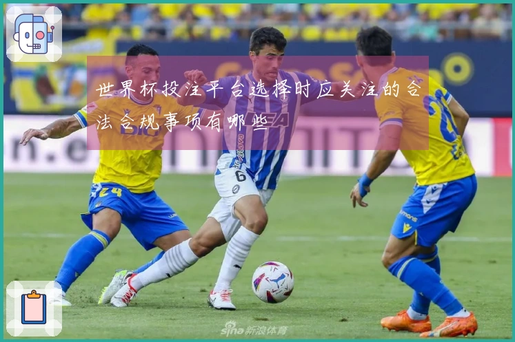 世界杯投注平台选择时应关注的合法合规事项有哪些