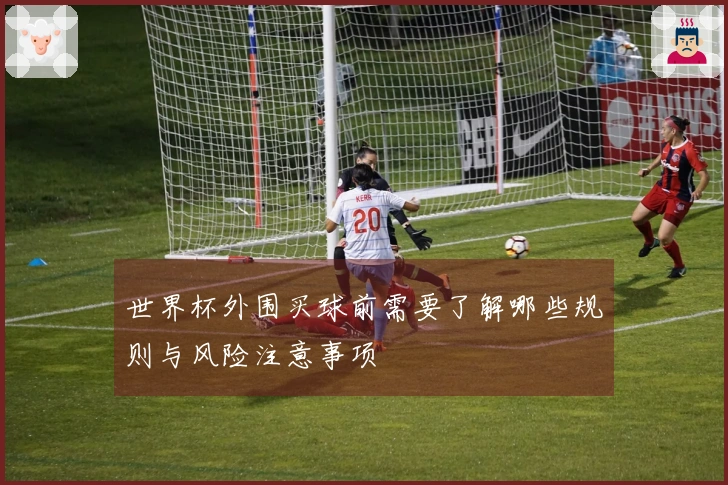 世界杯外围买球前需要了解哪些规则与风险注意事项