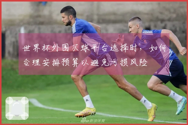 世界杯外围买球平台选择时，如何合理安排预算以避免亏损风险