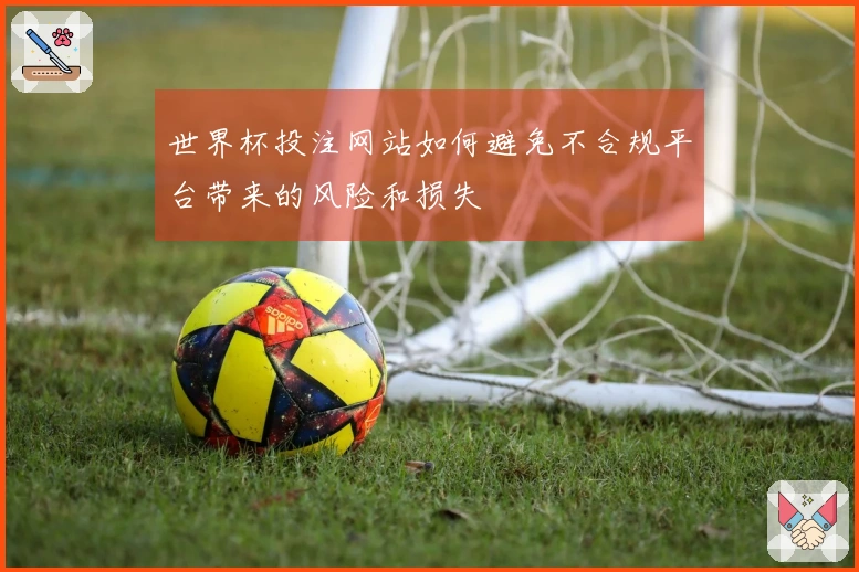 世界杯投注网站如何避免不合规平台带来的风险和损失