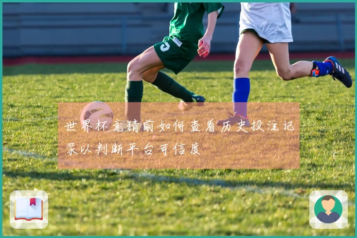 世界杯竞猜前如何查看历史投注记录以判断平台可信度