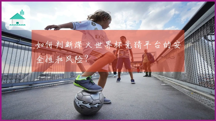 如何判断烽火世界杯竞猜平台的安全性和风险？