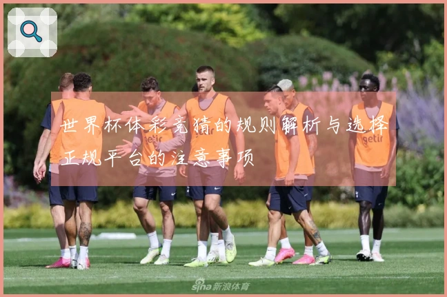 世界杯体彩竞猜的规则解析与选择正规平台的注意事项