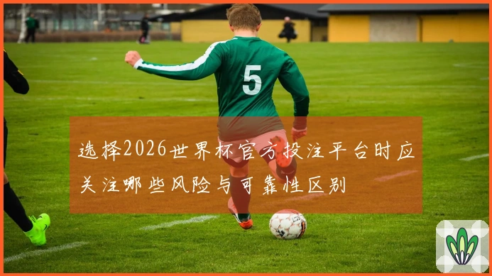 选择2026世界杯官方投注平台时应关注哪些风险与可靠性区别