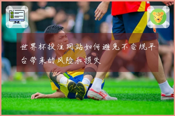 世界杯投注网站如何避免不合规平台带来的风险和损失